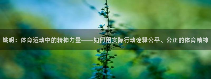 蓝鲸体育安卓版下载：姚明：体育运动中的精神力量——如何用实际行动诠释公平、公正的体育精神