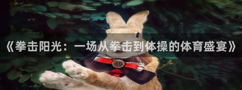 蓝鲸体育官网入口：《拳击阳光：一场从拳击到体操的体育盛宴》