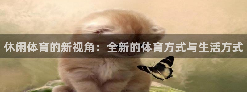 蓝鲸体育足球：休闲体育的新视角：全新的体育方式与生活方式