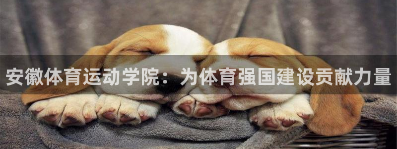 蓝鲸体育官网下载：安徽体育运动学院：为体育强国建设贡献力量