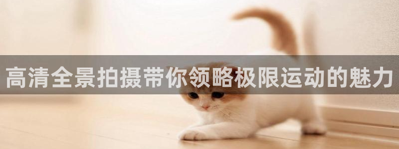 蓝鲸体育在线：高清全景拍摄带你领略极限运动的魅力