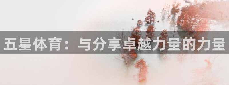 蓝鲸体育旧版本：五星体育：与分享卓越力量的力量