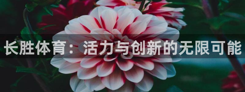 蓝鲸体育旧版下载：长胜体育：活力与创新的无限可能
