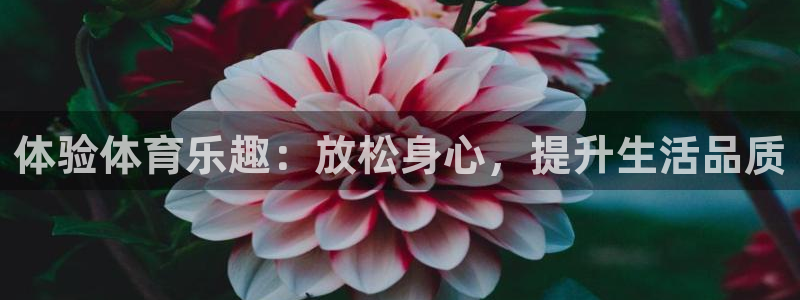 蓝鲸体育app官方入口：体验体育乐趣：放松身心，提升生活品质